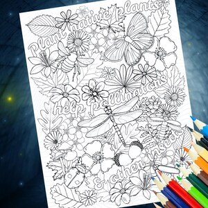 Op de afbeelding: Zwart-witte kleurplaat met verschillende bloemen, insecten en bladeren. De tekst "Plant inheemse planten, help bestuivers en andere insecten" staat in een decoratief lettertype.