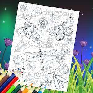 May include: Black and white coloring page with the text "Plant native plants, help pollinators & other insects". The page features a bee, butterfly, dragonfly, beetle, and flowers.