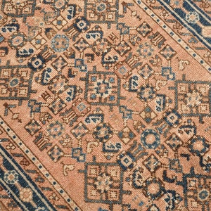 Persian Malayir Runner