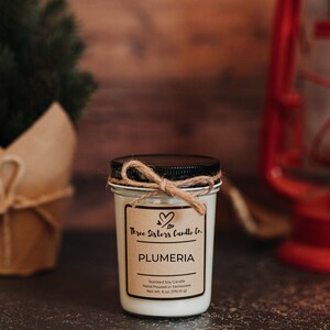 May include: A white soy candle in a glass jar with a brown paper label that reads "Three Sisters Candle Co." and "PLUMERIA". The label also states "Scented Soy Candle", "Hand Poured in Tennessee", and "Net Wt. 6 oz. (170.10 g)".