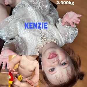 Reborn Dolls Toddler