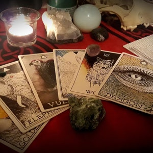 Lecturas de cartas de oráculo de animales