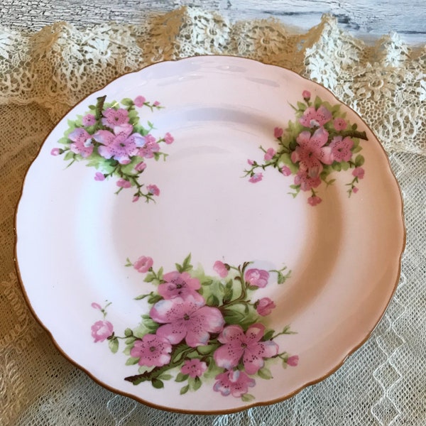 One Tuscan Fine English Bone China Floral Luncheon Plate