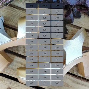 May include: A pair of silver glitter clogs with a wooden heel and a size chart showing European, inch, and centimetre measurements.