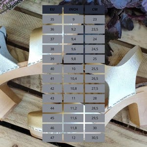 A size chart for clogs is displayed over a background of wooden planks and purple flowers, with columns for EU, Inch, and CM sizes.