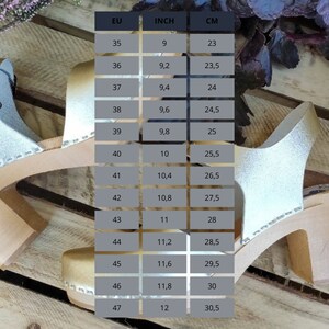 May include: A pair of silver glitter clogs with a wooden heel and a size chart showing European, inch, and centimeter measurements.