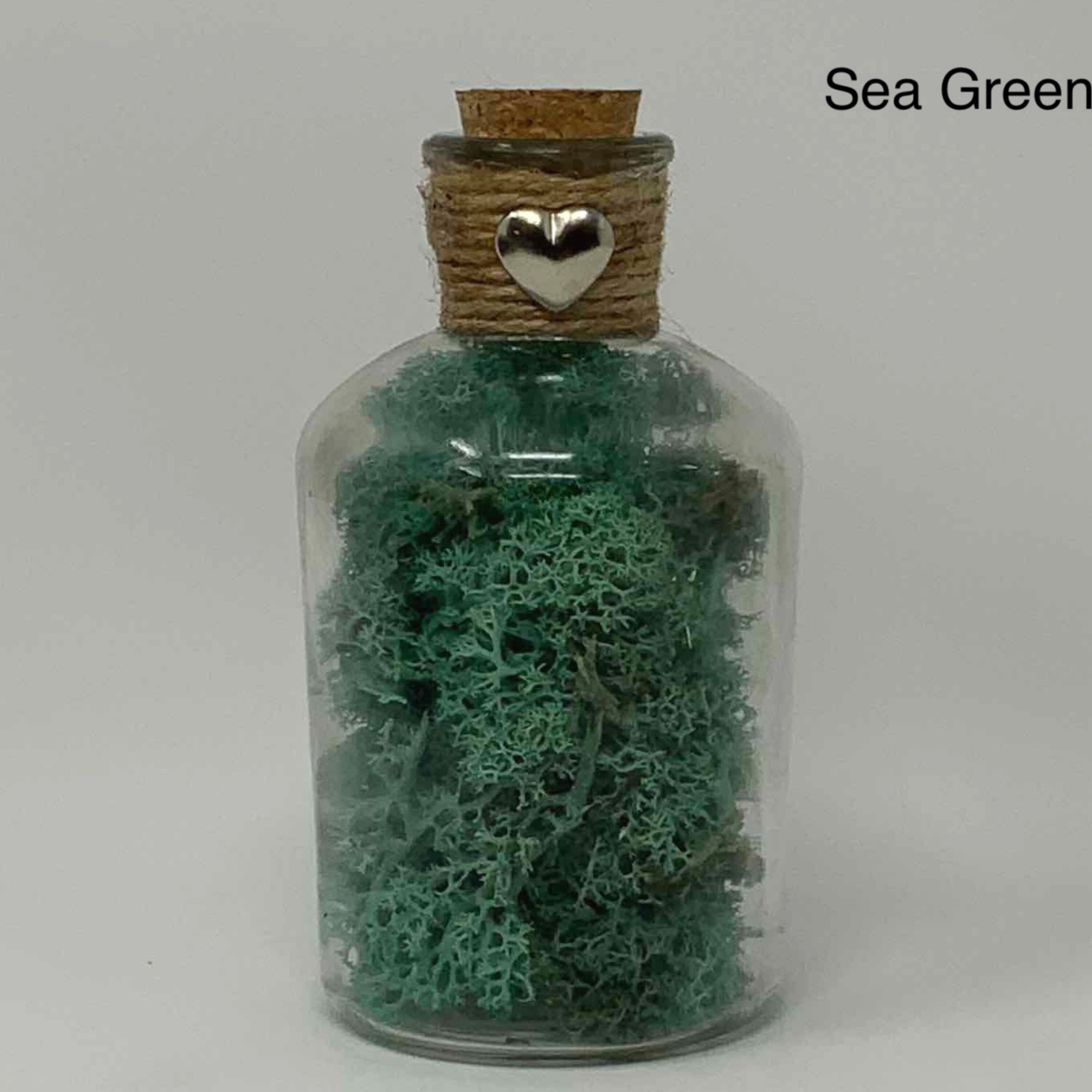 Preserved Moss in Decorative Corked Glass Bottle Etsy