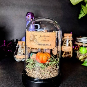 Magic Apothecary Potion Bottle, Halloween Potion Bottles,Halloween Tiered Tray Decor, Potions Halloween decor