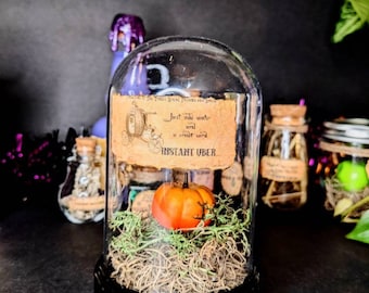 Può includere: Una campana di vetro decorativa con una piccola zucca arancione all'interno, appoggiata su muschio verde ed erba secca. La campana ha una base nera e un'etichetta che recita "Just add water and u create ur INSTANT UBER".