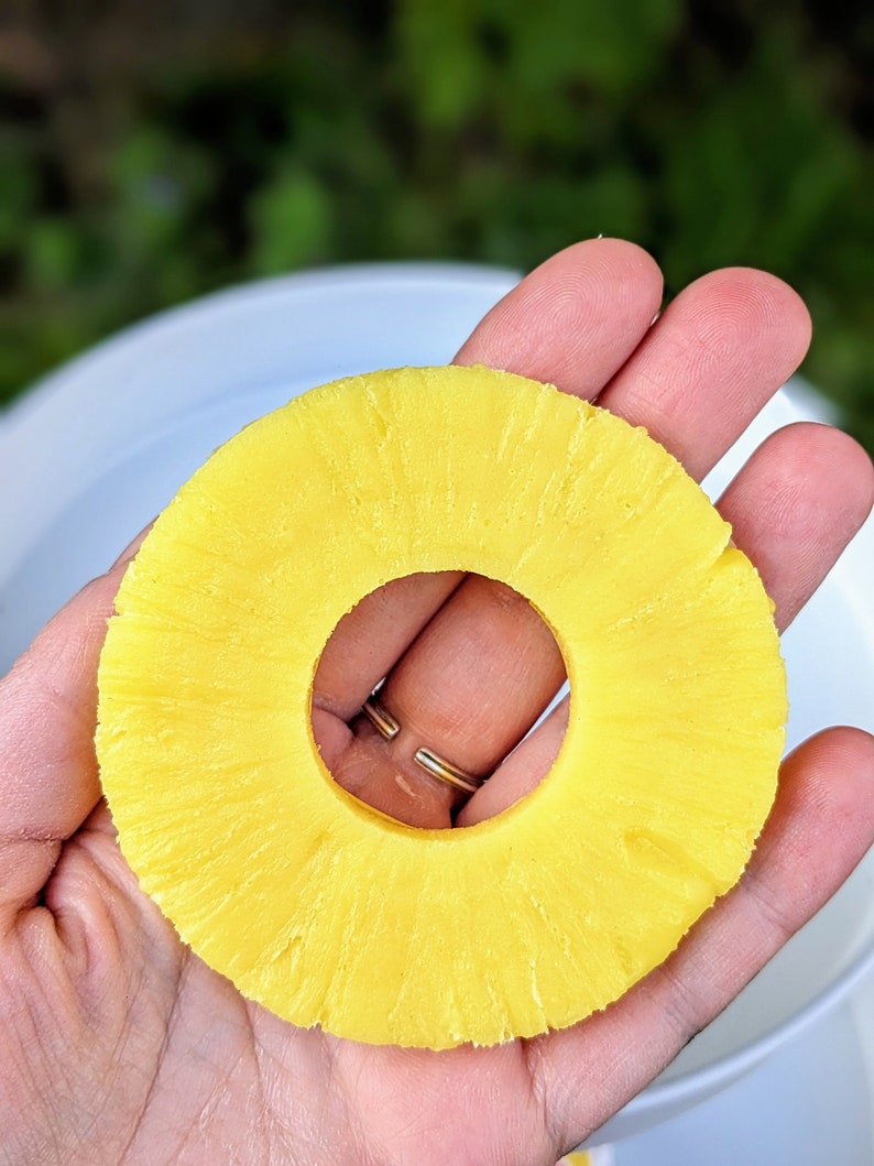 May include: A yellow pineapple ring, sliced from a fresh pineapple, is held in a hand. The ring is about 3 inches in diameter.