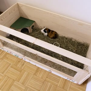 May include: A wooden guinea pig habitat with a clear front panel. Inside, there's a small green house, hay, and a guinea pig with brown, white, and black fur. A white ring is also visible. The habitat sits on a parquet floor.