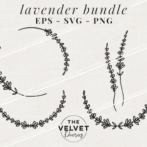 Ilustração de guirlanda desenhada à mão de lavanda doodle vetor svg eps png clip art cricut