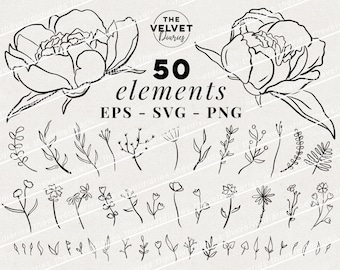 50 Floral Botanical Elements Flowers Leaves Hand Drawn Vector svg eps png clip art cricut
