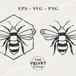 バンブルビー手描きハニカム蜂フレームベクターsvg eps pngクリップアートcricut