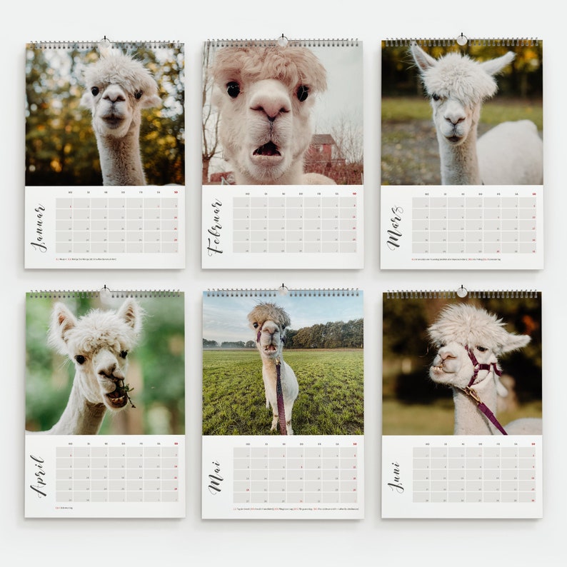 Alpaca Calendar 2024 DIN A5 Wall Calendar 2024 Gift Idea for Alpaca