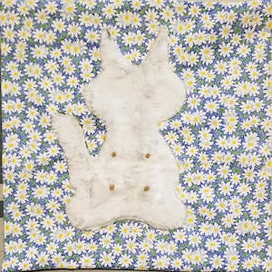 Kitten Suckling Pillow Cover -Blue's - Cat Pacifier- Catsifier