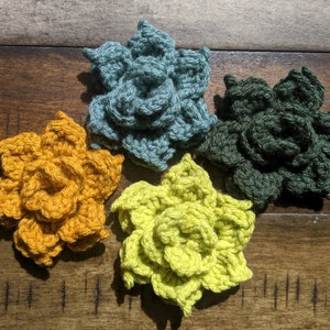 Crochet succulent