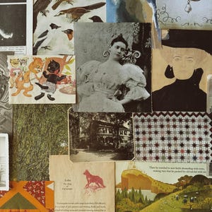 May include: A vintage collage featuring illustrations of birds, a portrait of a woman, and a cartoon of cats. Other elements include a landscape, a house, and text from a book. The colour palette is muted with a variety of textures.