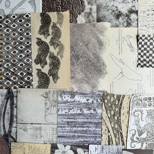 May include: A collage of various paper scraps featuring black and white illustrations, including botanical sketches, a bird diagram labeled Double-Eye Fig Parrot, geometric patterns, handwritten text, floral motifs, and textured abstract prints.