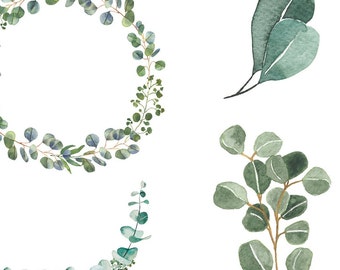 Eucalyptus Clipart Bundle- Watercolor  Baby Blue Eucalyptus - Greenery Clipart, Individual Elements, Eucalyptus Clipart, Watercolor Greenery