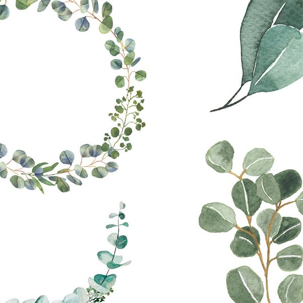 Eucalyptus Clipart Bundle- Watercolor  Baby Blue Eucalyptus - Greenery Clipart, Individual Elements, Eucalyptus Clipart, Watercolor Greenery