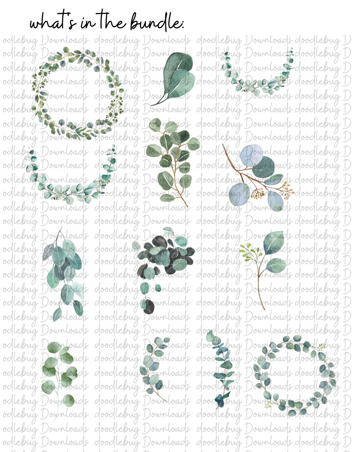 Eucalyptus Clipart Bundle- Watercolor Baby Blue Eucalyptus - Greenery ...