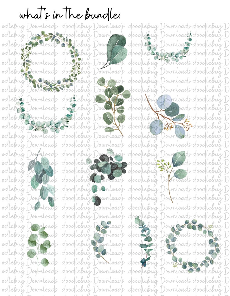 Eucalyptus Clipart Bundle- Watercolor Baby Blue Eucalyptus - Greenery ...