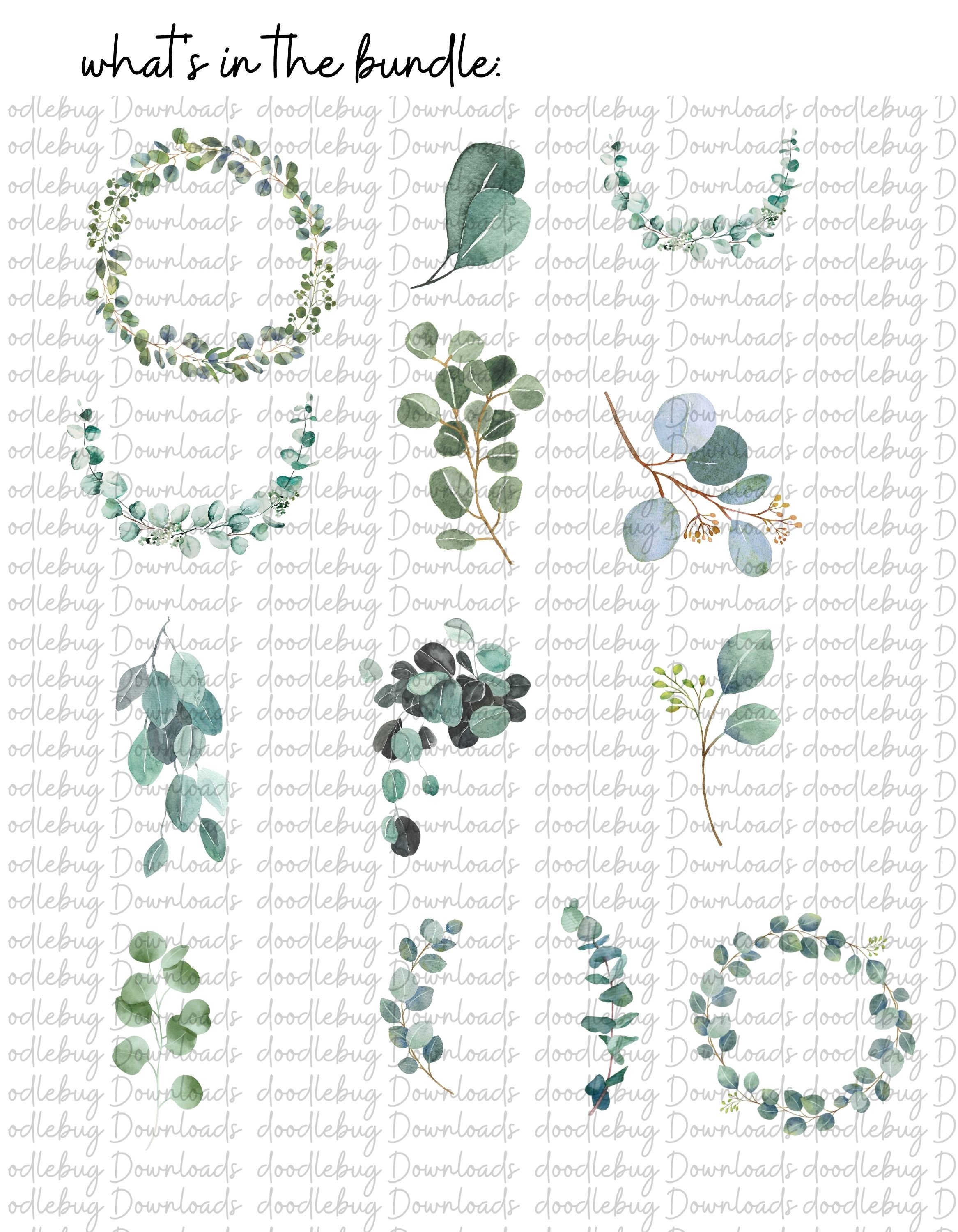 Eucalyptus Clipart Bundle- Watercolor Baby Blue Eucalyptus - Greenery ...
