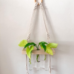 Macrame Hanging Propagation Station