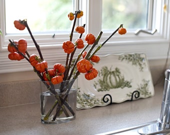 Pumpkin Branches | Fall Bouquet | Fresh Healthy Stems