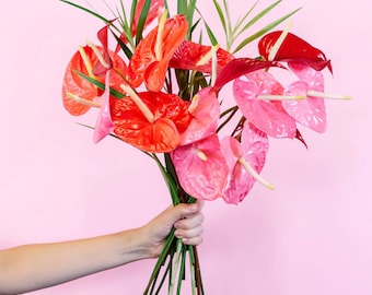 Anthurium Flowers | Live Bouquet