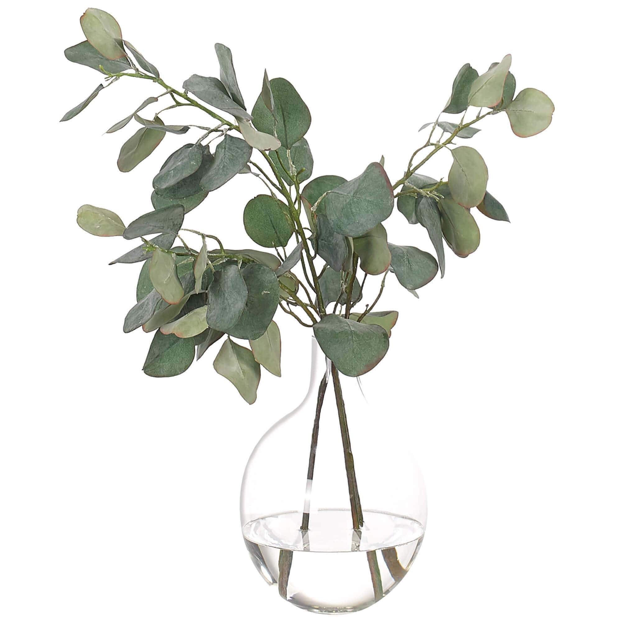 Spiral Eucalyptus Branches 6 Eucalyptus Bouquet Short - Etsy