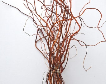 May include: A bundle of long, slender, reddish-brown curly willow branches tied together with a thin piece of natural twine. The branches feature a distinct twisted and winding growth pattern, extending upwards and outwards from the central binding.