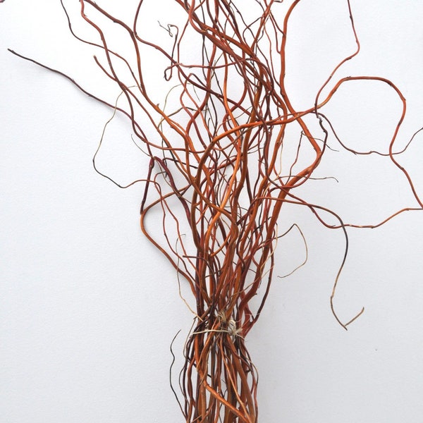 Curly Willow Etsy UK