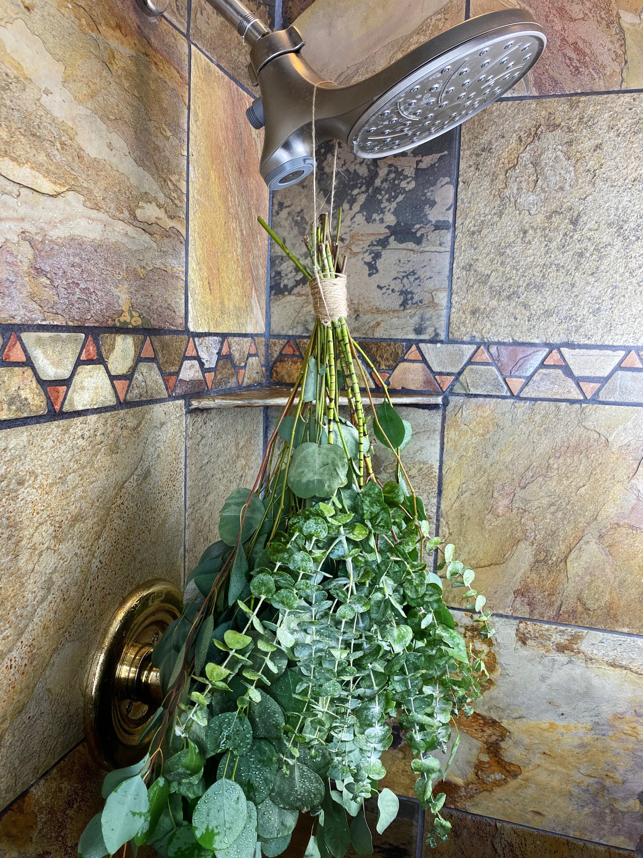 Aromatherapy Shower Eucalyptus Shower Bundle Etsy