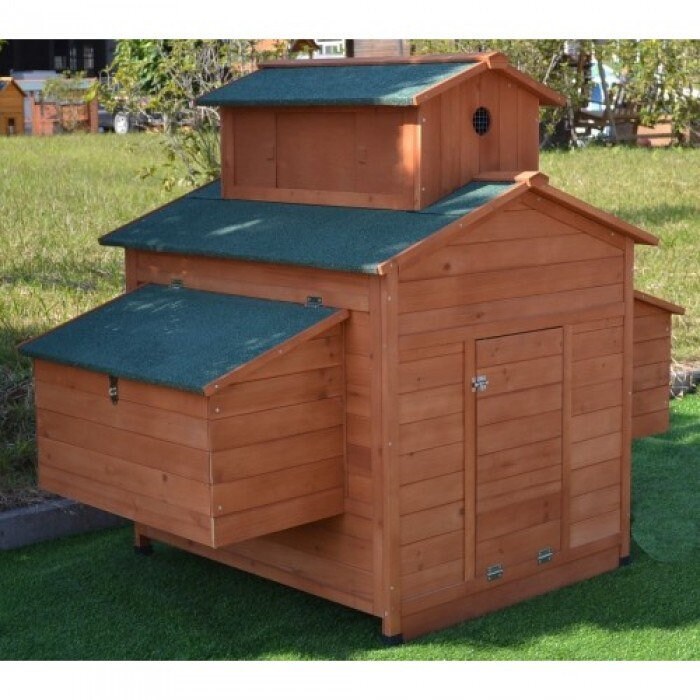 Chicken Coop 610 Chickens Special No Run Design Etsy
