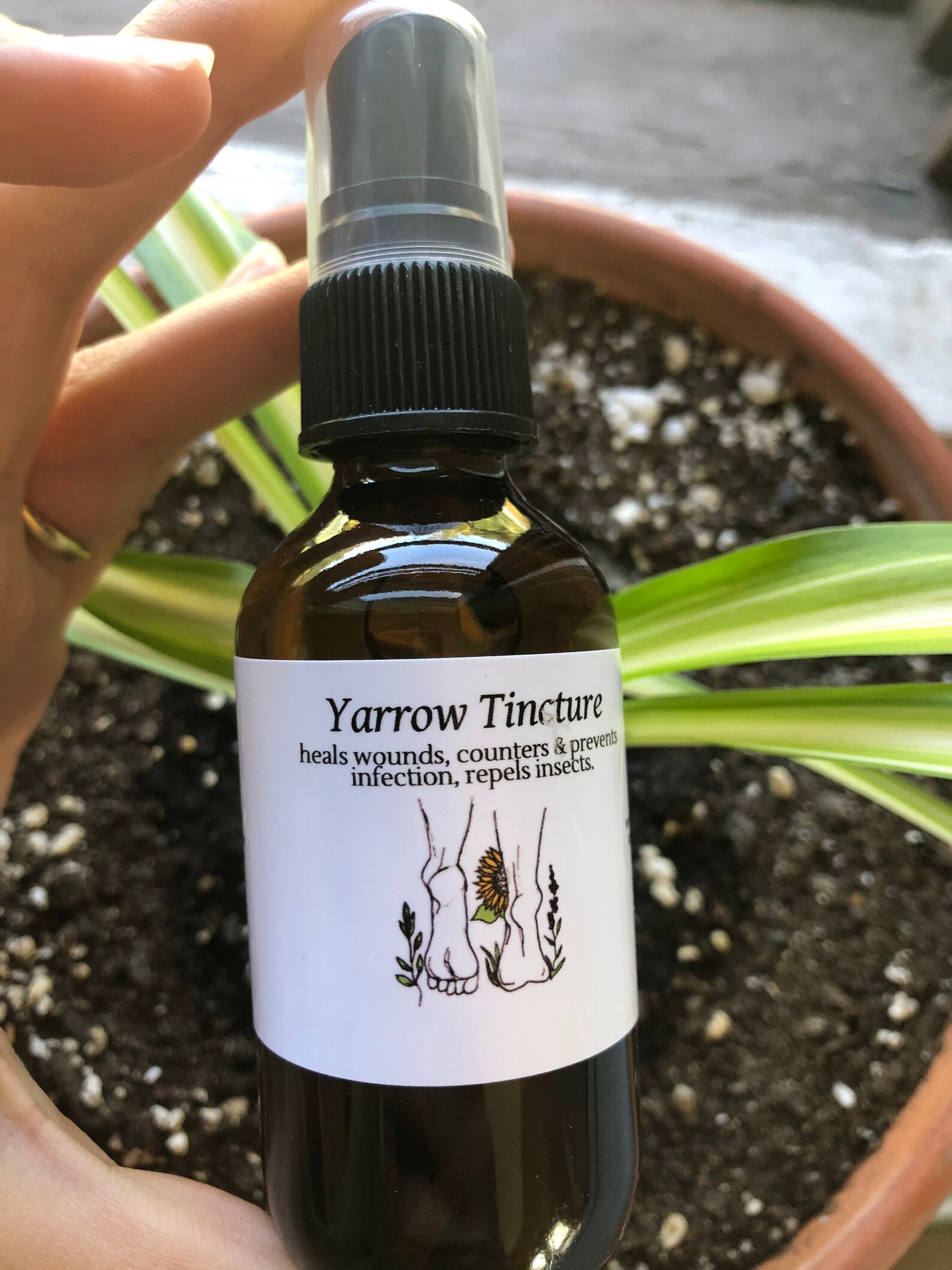 Yarrow Tincture Etsy