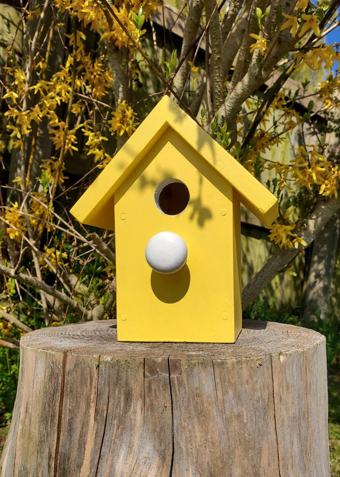Colourful Birdhouse yellow Etsy