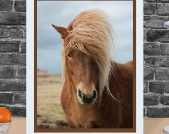 Impresión de caballos, imágenes ecuestres, arte de pared de caballos, fotografía de cabeza de caballo, decoración de pared equina, impresiones de animales, regalo imprimible para amantes de los caballos