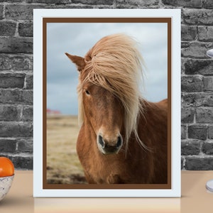Horse print, equestrian pictures, horses wall art, horse head photograph, equine wall decor, animal prints, printable gift for horse lover