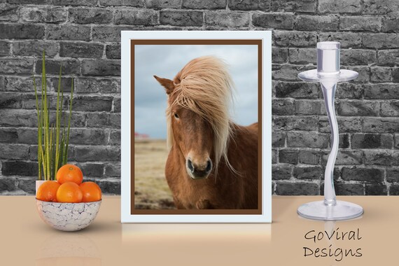 Horse print, equestrian pictures, horses wall art, horse head photograph, equine wall decor, animal prints, printable gift for horse lover