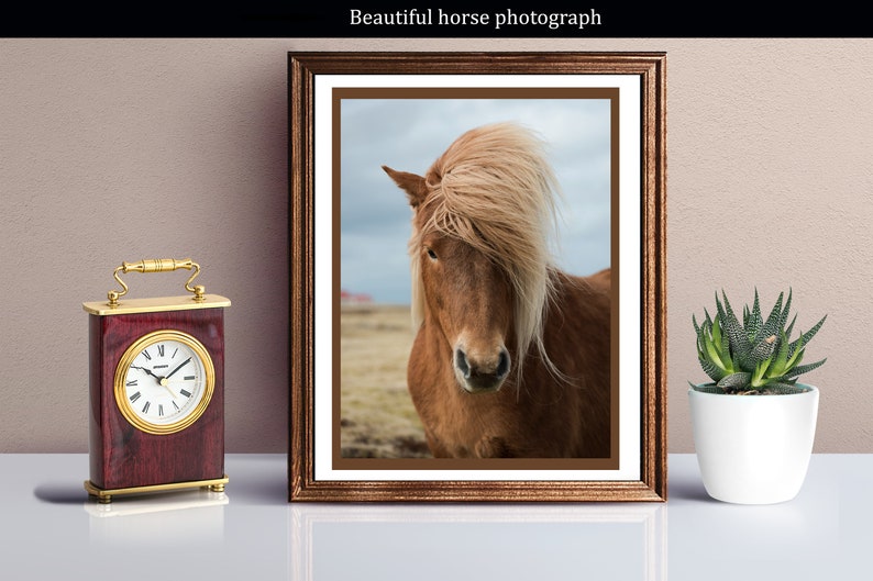 May include: A framed photograph of a brown horse with a long, flowing mane. The horse is looking directly at the camera with a calm expression. The background is a blurry field with a cloudy sky.