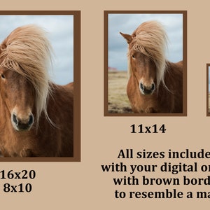May include: A digital download of a photograph of a brown Icelandic horse with a long, flowing mane. The image is available in multiple sizes, including 5x7, 8x10, 11x14, and 16x20 inches. The image has a brown border to resemble a mat.