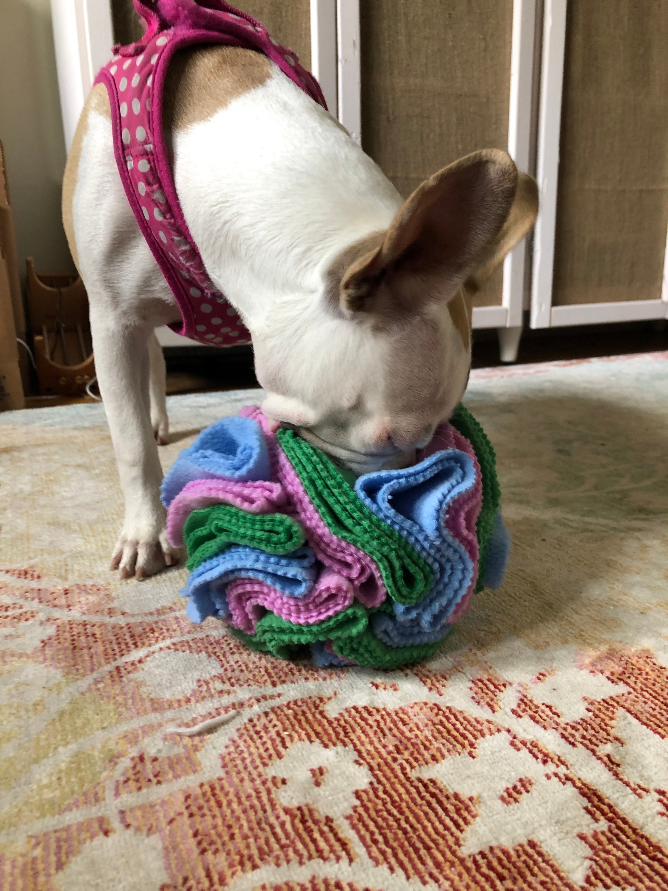 Snuffle Ball Primary Dog Enrichment Toy Fleece Etsy