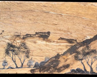 オーストラリアのアボリジニアーティストの樹皮画 先住民のオリジナル
