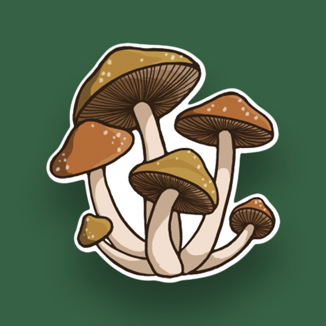 Illustrated Mushroom Sticker Etsy