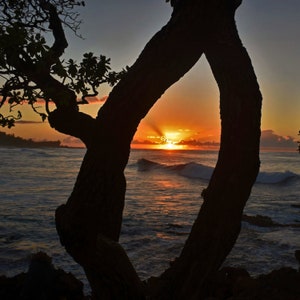 Meet Me In The Middle On The North Shore