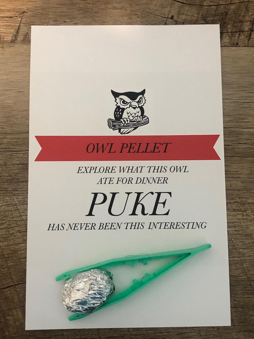 Owl Pellet, Owl Puke, Fun for Kids, School Discovery Project, Digestive