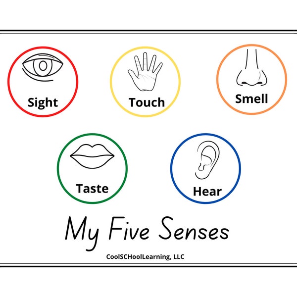 5 Senses Printable, Preschool Poster, Kindergarten Readiness, Kids Playroom Decor, Classroom Resources