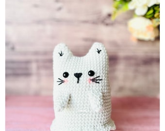 Michi Boo | Modèle Amigurumi (FR)